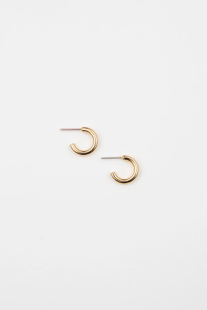 Lenny Hoop Earrings