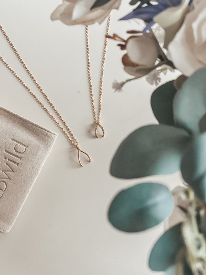 Wishbone Pair Necklaces